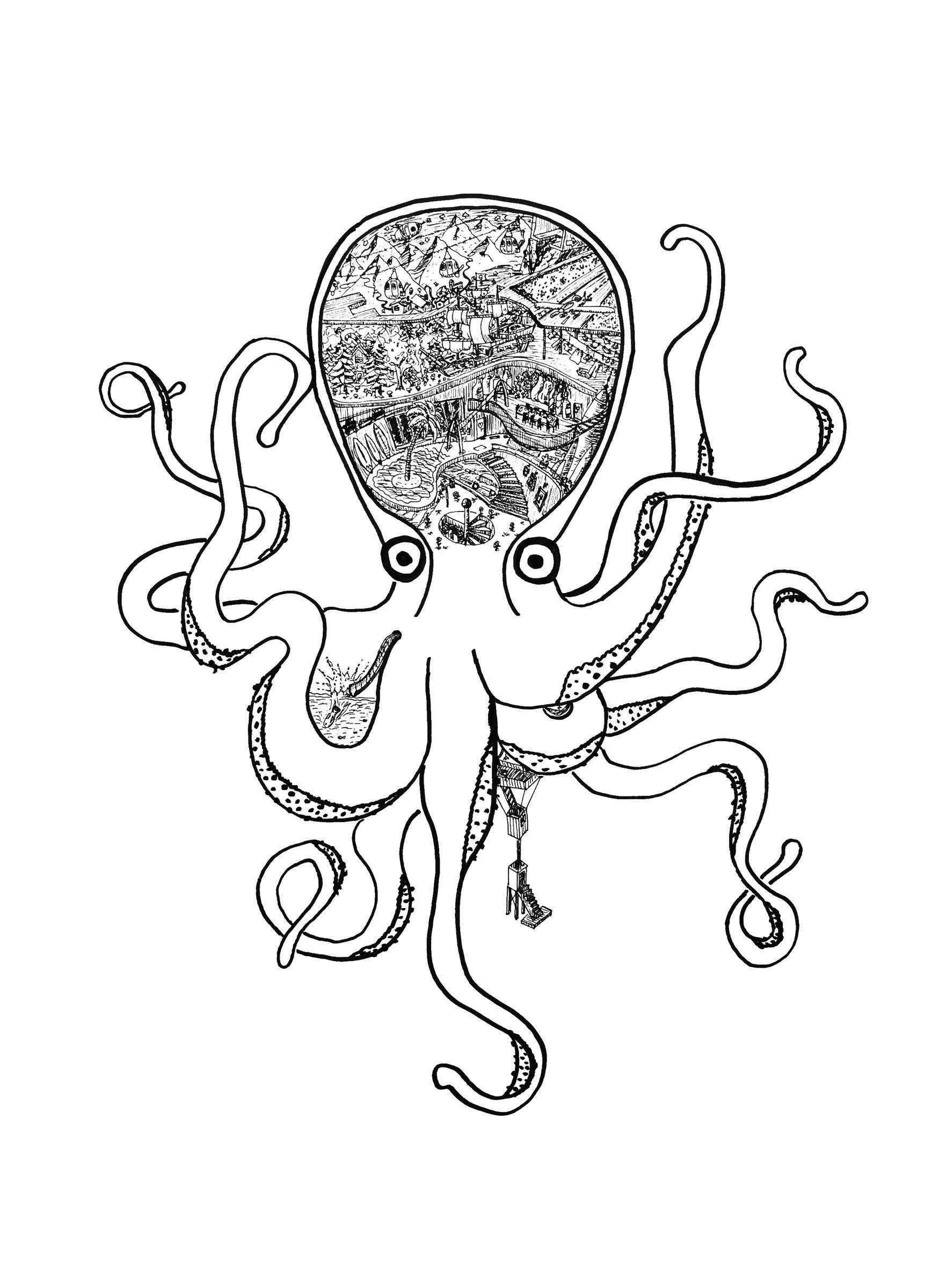 Pulpo